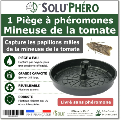 1 Piège à phéromones Water Trap pour la mineuse de la tomate