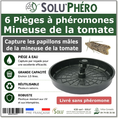 6 Pièges à phéromones Water Trap pour la mineuse de la tomate