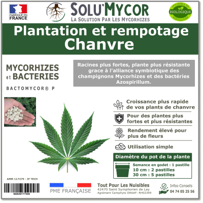 Master Label solu'Mycor Chanvre