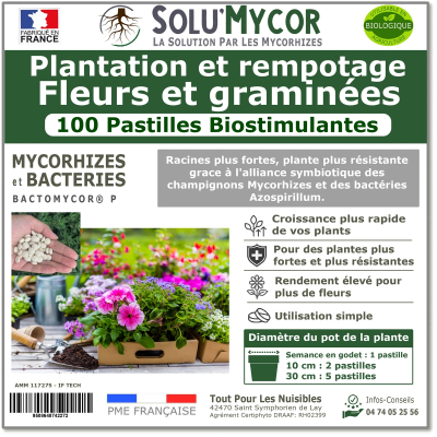 Comprimés biostimulants, SOLU'MYCOR Fleurs et graminées - 100 pastilles