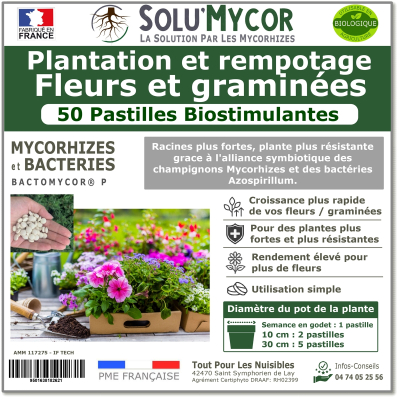 Comprimés biostimulants, SOLU'MYCOR Fleurs et graminées - 50 pastilles