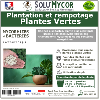 Master Label solu'Mycor Plantes vertes