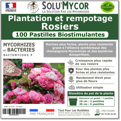 Comprimés biostimulants, SOLU'MYCOR Rosiers- 100 pastilles