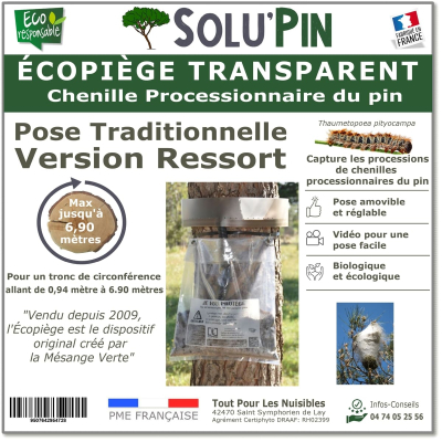 SoluPin - piège collier à chenille processionnaire du pin