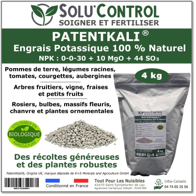 4 kg de PatentKali
